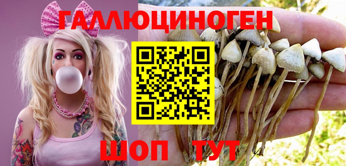 Красногорск  Псилоцибиновые грибы Psilocybe  Псилоцибиновые грибы Psilocybine cubensis  Вход с VPN 