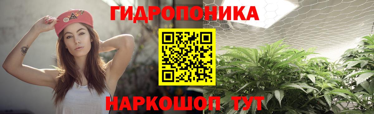 Конопля гибрид Красногорск